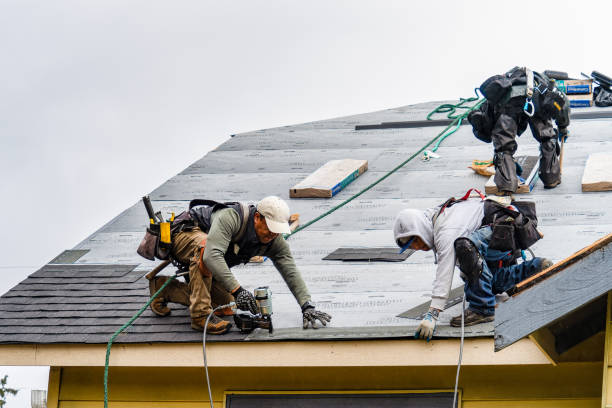 Professional Gutter Installation technician working in Caledonia, ND